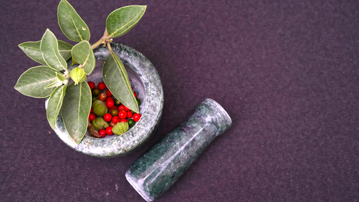 Ashwagandha OR Indian Ginseng is an Ayurveda medicine in stem and powder form