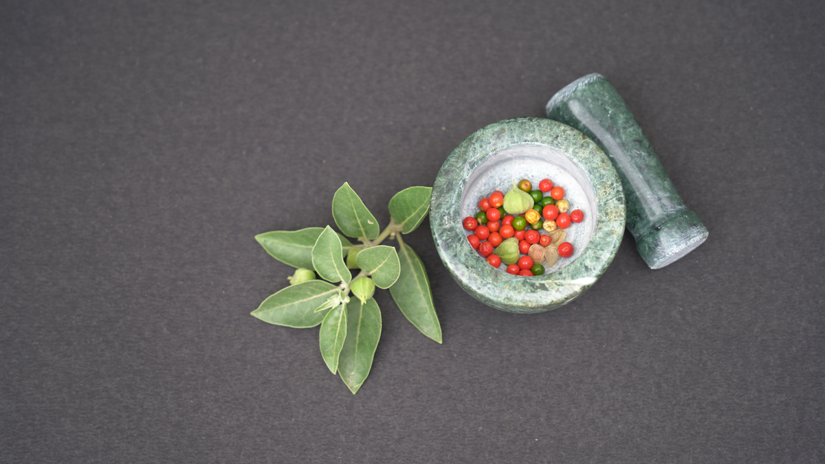 Ashwagandha OR Indian Ginseng is an Ayurveda medicine in stem and powder form